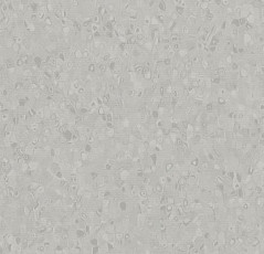 Линолеум Forbo Sphera Element 50013 smog фото 1 | FLOORDEALER